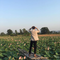  Hà Quốc Tấn 